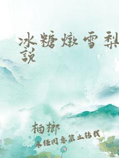 冰糖炖雪梨 小说