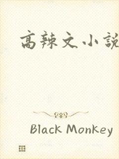 高辣文小说