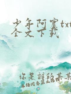少年阿宾txt全文下载