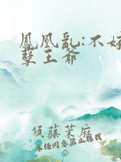 凤凰乱:不嫁妖孽王爷