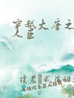 穿越大唐之位极人臣