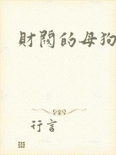 财阀的母狗们