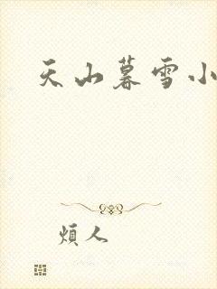 天山暮雪小说