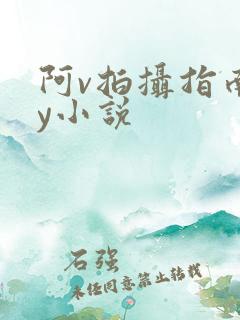 阿v拍摄指南by小说