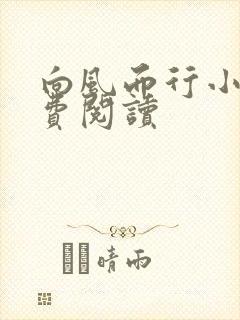 向风而行小说免费阅读