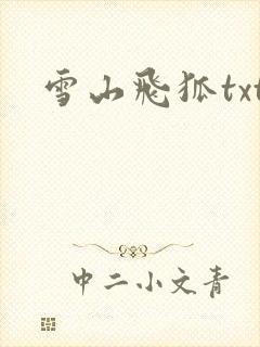 雪山飞狐txt