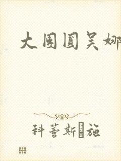 大团圆吴娜高敏