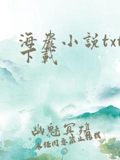 海岩小说txt下载