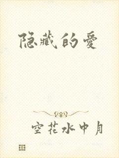 隐藏的爱