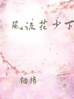 风流花少下载