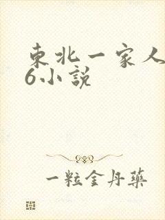 东北一家人1一6小说