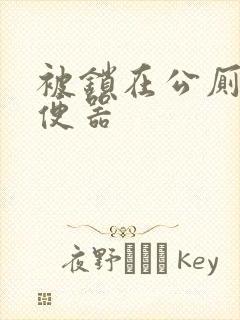 被锁在公厕当坐便器