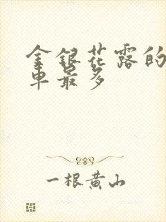 金银花露的哪个车最多