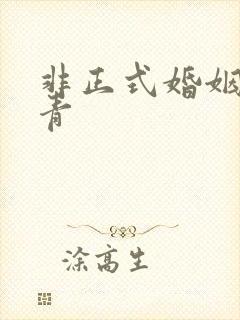 非正式婚姻雾里青