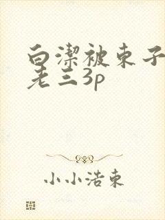 白洁被东子老二老三3p