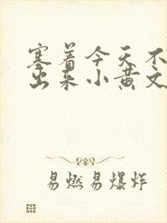 塞着今天不准拿出来小黄文