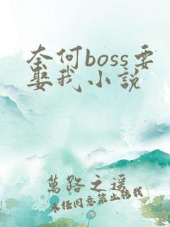 奈何boss要娶我小说