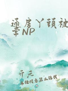 通房丫头被肉日常NP