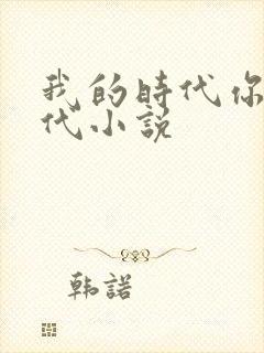 我的时代你的时代小说