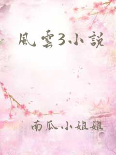 风云3小说