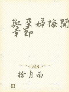 与孕妇梅开三度章节