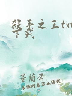 杀手之王txt下载