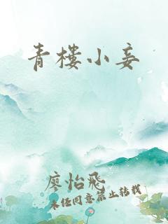 青楼小妾