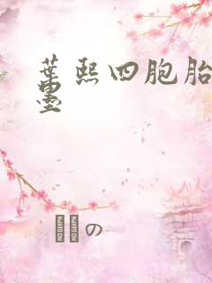 叶熙四胞胎厉子墨