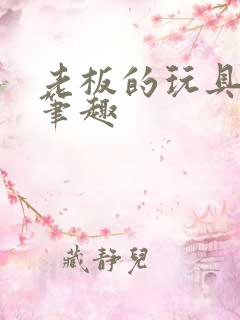 老板的玩具小米笔趣