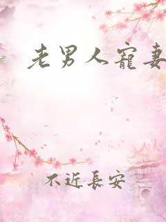 老男人宠妻日常
