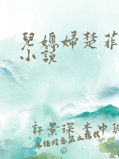 儿媳妇楚菲菲的小说