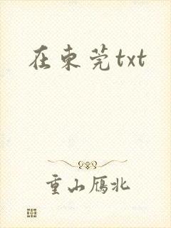 在东莞txt