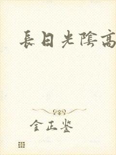 长日光阴高h