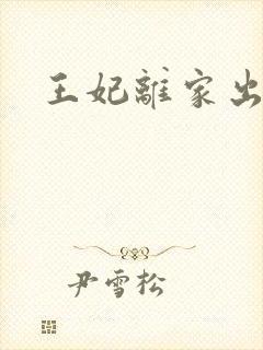 王妃离家出走