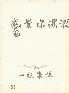 感觉你湿润我书包