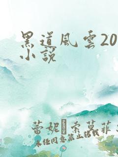 黑道风云20年小说