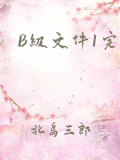 B级文件1完整
