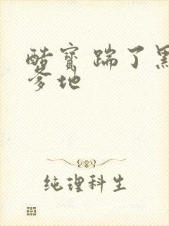 酷宝 踹了黑道爹地