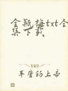 金瓶梅txt全集下载