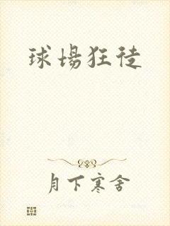 球场狂徒