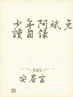 少年阿斌免费阅读目录