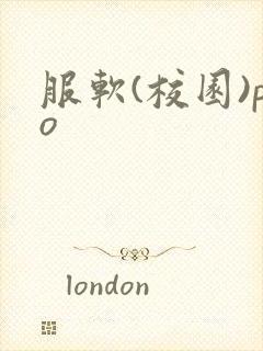 服软(校园)po
