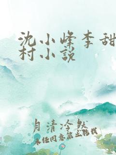 沈小峰李甜的乡村小说