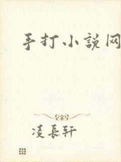 手打小说网