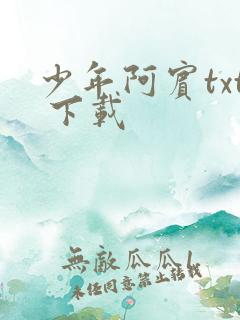 少年阿宾txt 下载