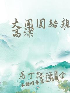 大团圆结亲情会高洁