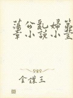 荡公乱妇第51章小说小莹