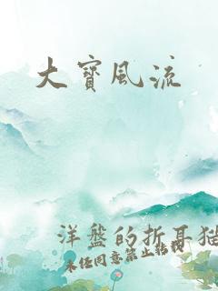 大宝风流