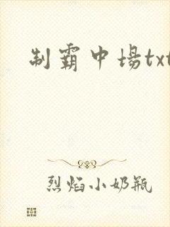 制霸中场txt