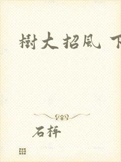 树大招风 下载